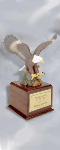 Item#3S1803 Painted Eagle